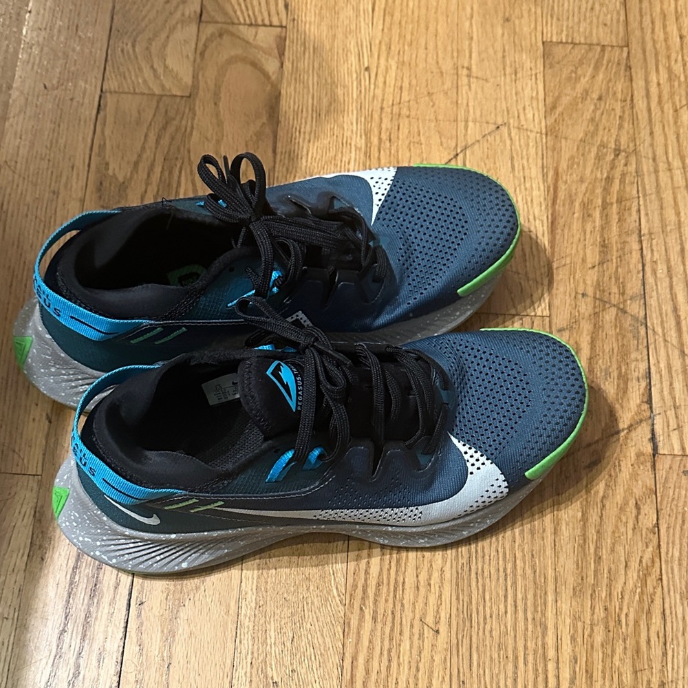 Nike Trail Pegasus Sneakers in Blue and Green